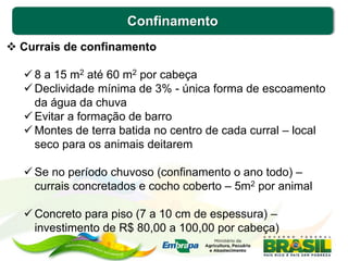 Confinamento
 Currais de confinamento
 8 a 15 m2 até 60 m2 por cabeça
 Declividade mínima de 3% - única forma de escoamento
da água da chuva
 Evitar a formação de barro
 Montes de terra batida no centro de cada curral – local
seco para os animais deitarem
 Se no período chuvoso (confinamento o ano todo) –
currais concretados e cocho coberto – 5m2 por animal
 Concreto para piso (7 a 10 cm de espessura) –
investimento de R$ 80,00 a 100,00 por cabeça)
 