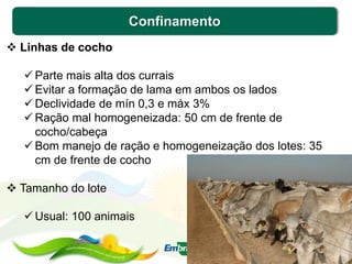 Confinamento
 Linhas de cocho
 Parte mais alta dos currais
 Evitar a formação de lama em ambos os lados
 Declividade de mín 0,3 e máx 3%
 Ração mal homogeneizada: 50 cm de frente de
cocho/cabeça
 Bom manejo de ração e homogeneização dos lotes: 35
cm de frente de cocho
 Tamanho do lote
 Usual: 100 animais
 