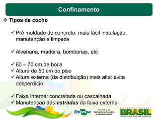 Confinamento
 Tipos de cocho
 Pré moldado de concreto: mais fácil instalação,
manutenção e limpeza
 Alvenaria, madeira, bombonas, etc
 60 – 70 cm de boca
 Altura de 50 cm do piso
 Altura externa (da distribuição) mais alta: evita
desperdício
 Faixa interna: concretada ou cascalhada
 Manutenção das estradas da faixa externa
 