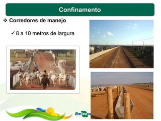 Confinamento
 Corredores de manejo
 8 a 10 metros de largura
 