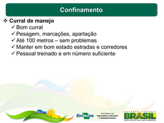 Confinamento
 Curral de manejo
 Bom curral
 Pesagem, marcações, apartação
 Até 100 metros – sem problemas
 Manter em bom estado estradas e corredores
 Pessoal treinado e em número suficiente
 