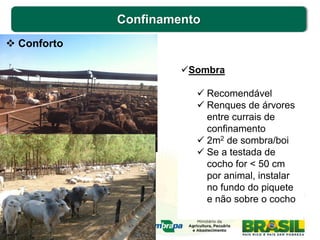 Confinamento
 Conforto
Sombra
 Recomendável
 Renques de árvores
entre currais de
confinamento
 2m2 de sombra/boi
 Se a testada de
cocho for < 50 cm
por animal, instalar
no fundo do piquete
e não sobre o cocho
 