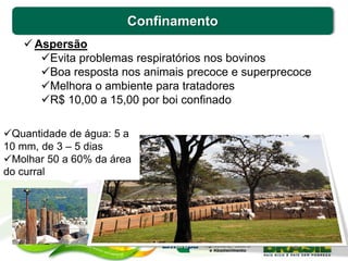 Confinamento
 Aspersão
Evita problemas respiratórios nos bovinos
Boa resposta nos animais precoce e superprecoce
Melhora o ambiente para tratadores
R$ 10,00 a 15,00 por boi confinado
Quantidade de água: 5 a
10 mm, de 3 – 5 dias
Molhar 50 a 60% da área
do curral
 