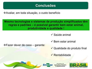 Conclusões
Avaliar, em toda situação, o custo benefício
Fazer dever de casa – garante:
Mesmo tecnologias e sistemas de produção simplificados têm
regras e padrões – é possível garantir bem estar animal,
produtividade e qualidade !
 Saúde animal
 Bem estar animal
 Qualidade do produto final
 Rentabilidade
22
 