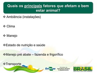 Quais os principais fatores que afetam o bem
estar animal?
 Ambiência (instalações)
 Clima
 Manejo
Estado de nutrição e saúde
Manejo pré abate – fazenda e frigorífico
Transporte
 