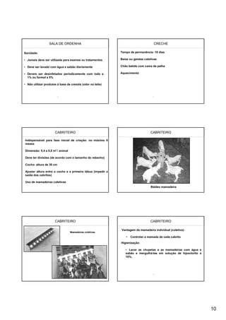 SALA DE ORDENHA                                                   CRECHE

Sanidade:                                                    Tempo de permanência: 10 dias

• Jamais deve ser utilizada para exames ou tratamentos       Baias ou gaiolas coletivas

• Deve ser lavado com água e sabão diariamente               Chão batido com cama de palha

• Devem ser desinfetados periodicamente com iodo a           Aquecimento
  1% ou formol a 5%

• Não utilizar produtos à base de cresóis (odor no leite)




                      CABRITEIRO                                                  CABRITEIRO

Indispensável para fase inicial de criação: no máximo 6
meses

Dimensão: 0,4 a 0,6 m2 / animal

Deve ter divisões (de acordo com o tamanho do rebanho)

Cocho: altura de 30 cm

Ajustar altura entre o cocho e a primeira tábua (impedir a
saída dos cabritos)

Uso de mamadeiras coletivas
                                                                                  Baldes mamadeira




                      CABRITEIRO                                                  CABRITEIRO

                                                             Vantagem da mamadeira individual (coletiva):
                                  Mamadeiras coletivas

                                                                 •   Controlar a mamada de cada cabrito

                                                             Higienização:

                                                                • Lavar as chupetas e as mamadeiras com água e
                                                                sabão e mergulhá-las em solução de hipoclorito a
                                                                10%.




                                                                                                                   10
 