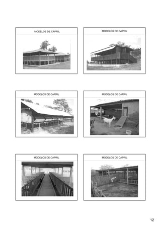 MODELOS DE CAPRIL   MODELOS DE CAPRIL




MODELOS DE CAPRIL   MODELOS DE CAPRIL




MODELOS DE CAPRIL   MODELOS DE CAPRIL




                                        12
 