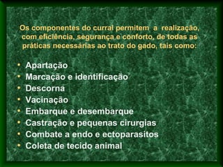 Os componentes do curral permitem a realização,
com eficiência, segurança e conforto, de todas as
práticas necessárias ao trato do gado, tais como:
• Apartação
• Marcação e identificação
• Descorna
• Vacinação
• Embarque e desembarque
• Castração e pequenas cirurgias
• Combate a endo e ectoparasitos
• Coleta de tecido animal
 