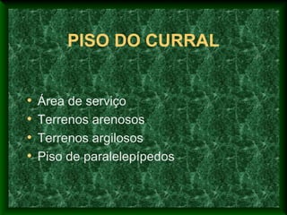 PISO DO CURRAL
• Área de serviço
• Terrenos arenosos
• Terrenos argilosos
• Piso de paralelepípedos
 
