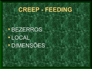 CREEP - FEEDING
• BEZERROS
• LOCAL
• DIMENSÕES
 