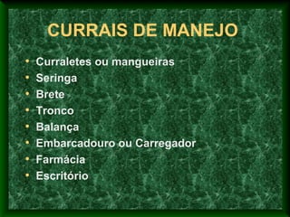 CURRAIS DE MANEJO
• Curraletes ou mangueiras
• Seringa
• Brete
• Tronco
• Balança
• Embarcadouro ou Carregador
• Farmácia
• Escritório
 