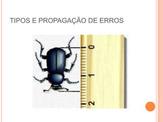 TIPOS E PROPAGAÇÃO DE ERROS
