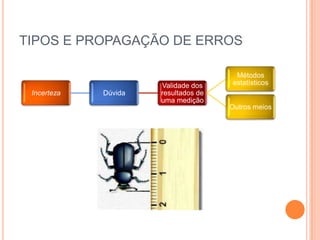 TIPOS E PROPAGAÇÃO DE ERROS