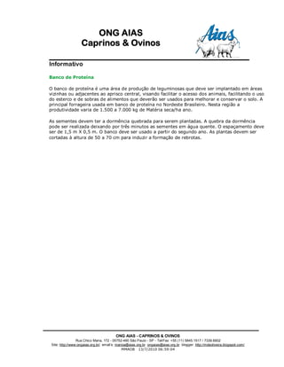 ONG AIAS
                   Caprinos & Ovinos

Informativo

Banco de Proteína

O banco de proteína é uma área de produção de leguminosas que deve ser implantado em áreas
vizinhas ou adjacentes ao aprisco central, visando facilitar o acesso dos animais, facilitando o uso
do esterco e de sobras de alimentos que deverão ser usados para melhorar e conservar o solo. A
principal forrageira usada em banco de proteína no Nordeste Brasileiro. Nesta região a
produtividade varia de 1.500 a 7.000 kg de Matéria seca/ha ano.

As sementes devem ter a dormência quebrada para serem plantadas. A quebra da dormência
pode ser realizada deixando por três minutos as sementes em água quente. O espaçamento deve
ser de 1,5 m X 0,5 m. O banco deve ser usado a partir do segundo ano. As plantas devem ser
cortadas à altura de 50 a 70 cm para induzir a formação de rebrotas.




                                         ONG AIAS - CAPRINOS & OVINOS
                 Rua Chico Mana, 172 - 05752-460 São Paulo - SP - Tel/Fax: +55 (11) 5845.1517 / 7339.6902
 Site: http://www:ongaias.org.br/ email’s: marioa@aias.org.br ongaias@aias.org.br blogger: http://mdeoliveira.blogspot.com/
                                               MMAOB 13/7/2010 06:59:04
 