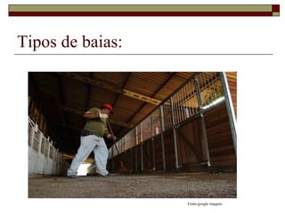 Tipos de baias: 
Alvenaria 
Fonte:google imagem 
 