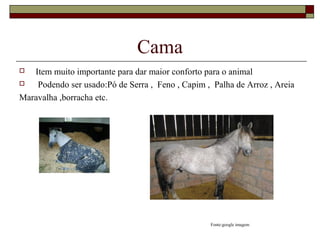 Cama 
 Item muito importante para dar maior conforto para o animal 
 Podendo ser usado:Pó de Serra , Feno , Capim , Palha de Arroz , Areia 
Maravalha ,borracha etc. 
Fonte:google imagem 
 