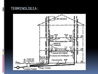 TERMINOLOGIA:
 