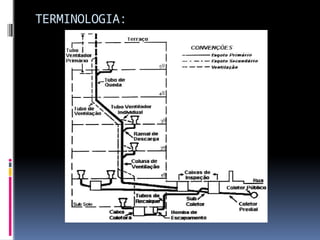 TERMINOLOGIA:
 