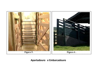 Apartadouro e Embarcadouro 
 