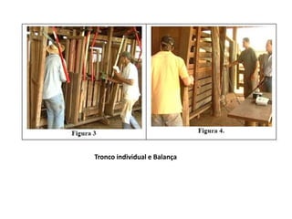 Tronco individual e Balança 
 