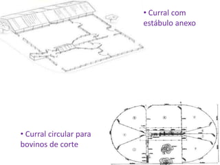 • Curral circular para 
bovinos de corte 
• Curral com 
estábulo anexo 
 