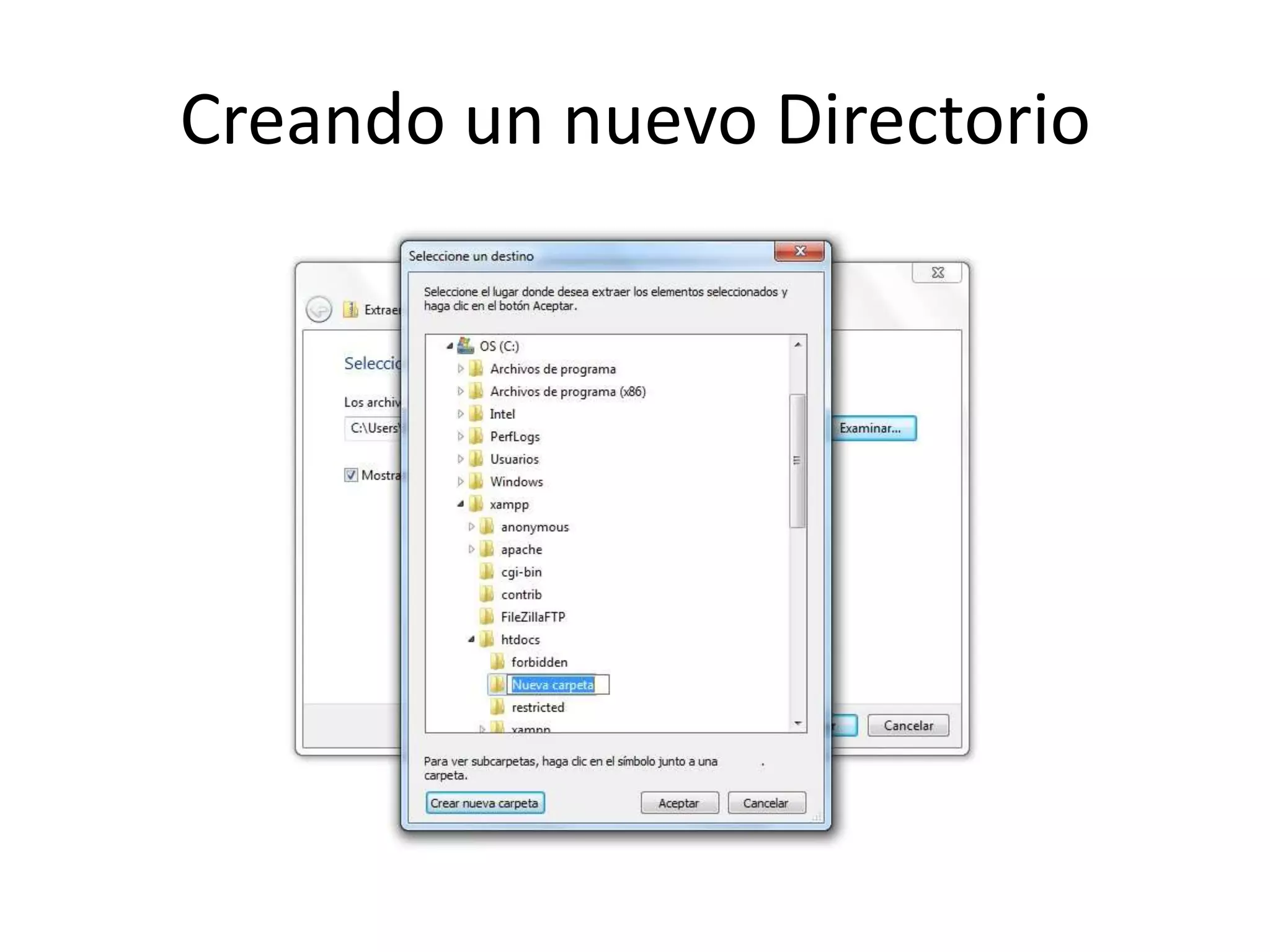 Creando un nuevo Directorio
 