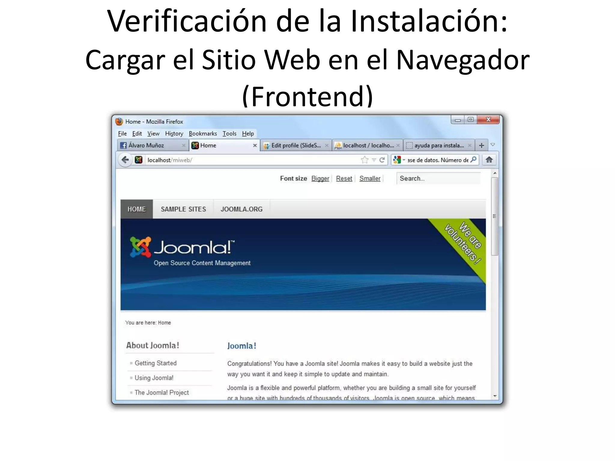 Verificación de la Instalación:
Cargar el Sitio Web en el Navegador
              (Frontend)
 