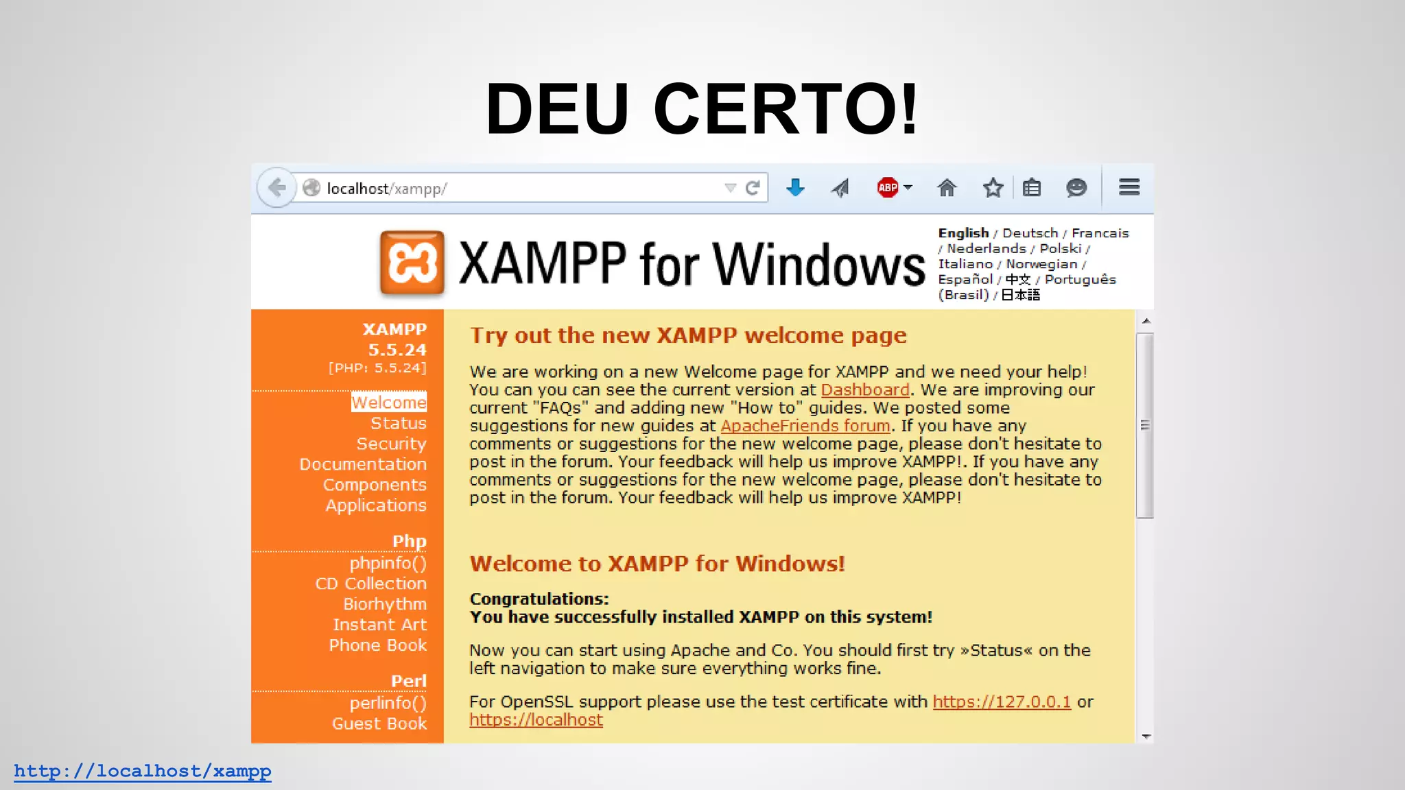 DEU CERTO!
http://localhost/xampp
 