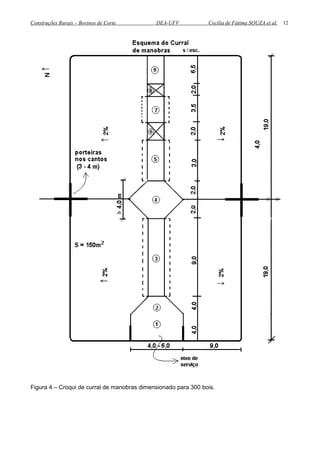 Construções Rurais – Bovinos de Corte DEA-UFV Cecília de Fátima SOUZA et al.
Figura 4 – Croqui de curral de manobras dimensionado para 300 bois.
12
 