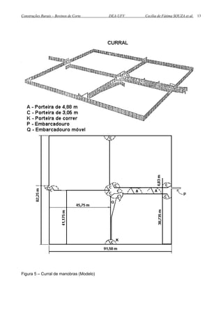 Construções Rurais – Bovinos de Corte DEA-UFV Cecília de Fátima SOUZA et al.
Figura 5 – Curral de manobras (Modelo)
13
 