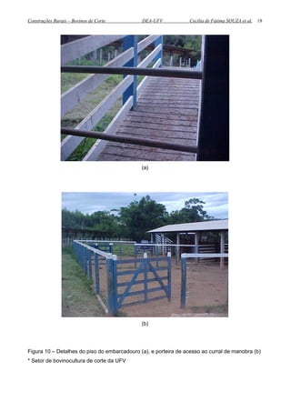 Construções Rurais – Bovinos de Corte DEA-UFV Cecília de Fátima SOUZA et al.
(a)
(b)
Figura 10 – Detalhes do piso do embarcadouro (a), e porteira de acesso ao curral de manobra (b)
* Setor de bovinocultura de corte da UFV
18
 