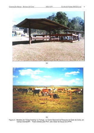 Construções Rurais – Bovinos de Corte DEA-UFV Cecília de Fátima SOUZA et al.
(a)
(b)
Figura 2 – Modelos de “Creep Feeding” a) Tortuga ; b) Centro Nacional de Pesquisa de Gado de Corte, em
Campo Grande/MT. Fotos cedidas pelo Prof. Júlio César de Souza da UFPR.
6
 
