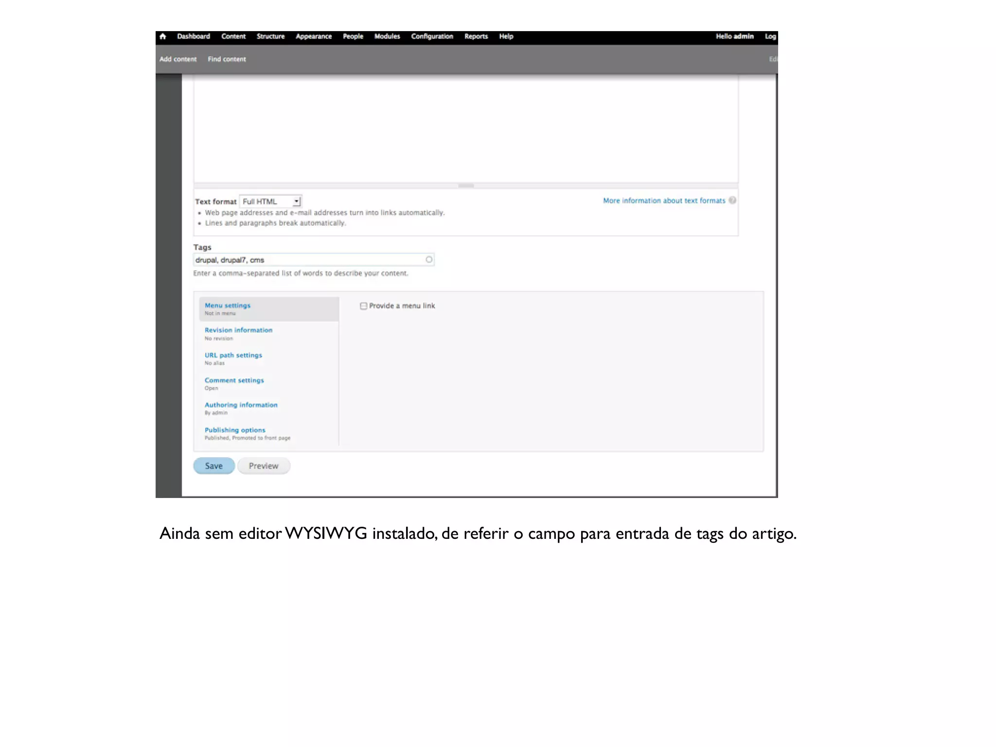 Ainda sem editor WYSIWYG instalado, de referir o campo para entrada de tags do artigo.
 