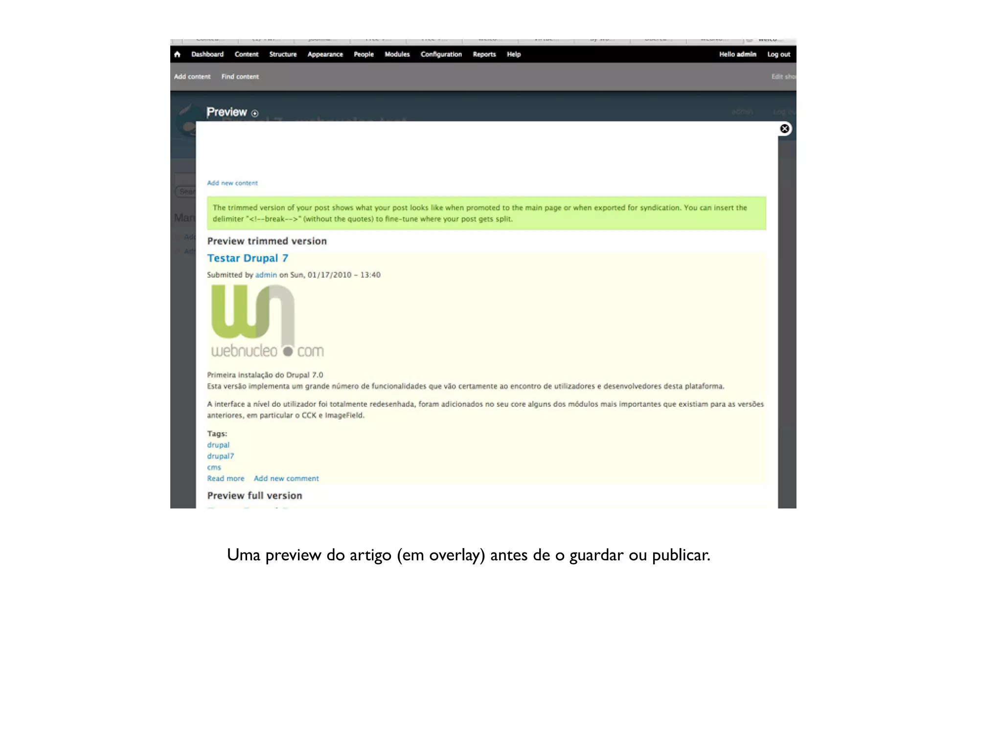 Uma preview do artigo (em overlay) antes de o guardar ou publicar.
 