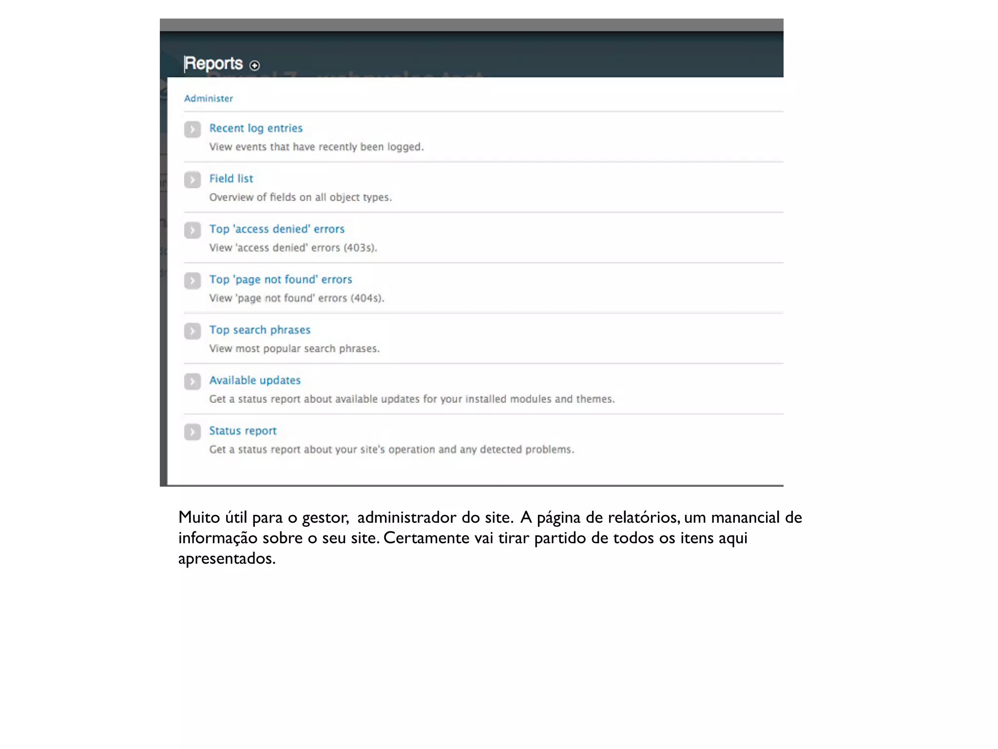Muito útil para o gestor, administrador do site. A página de relatórios, um manancial de
informação sobre o seu site. Certamente vai tirar partido de todos os itens aqui
apresentados.
 