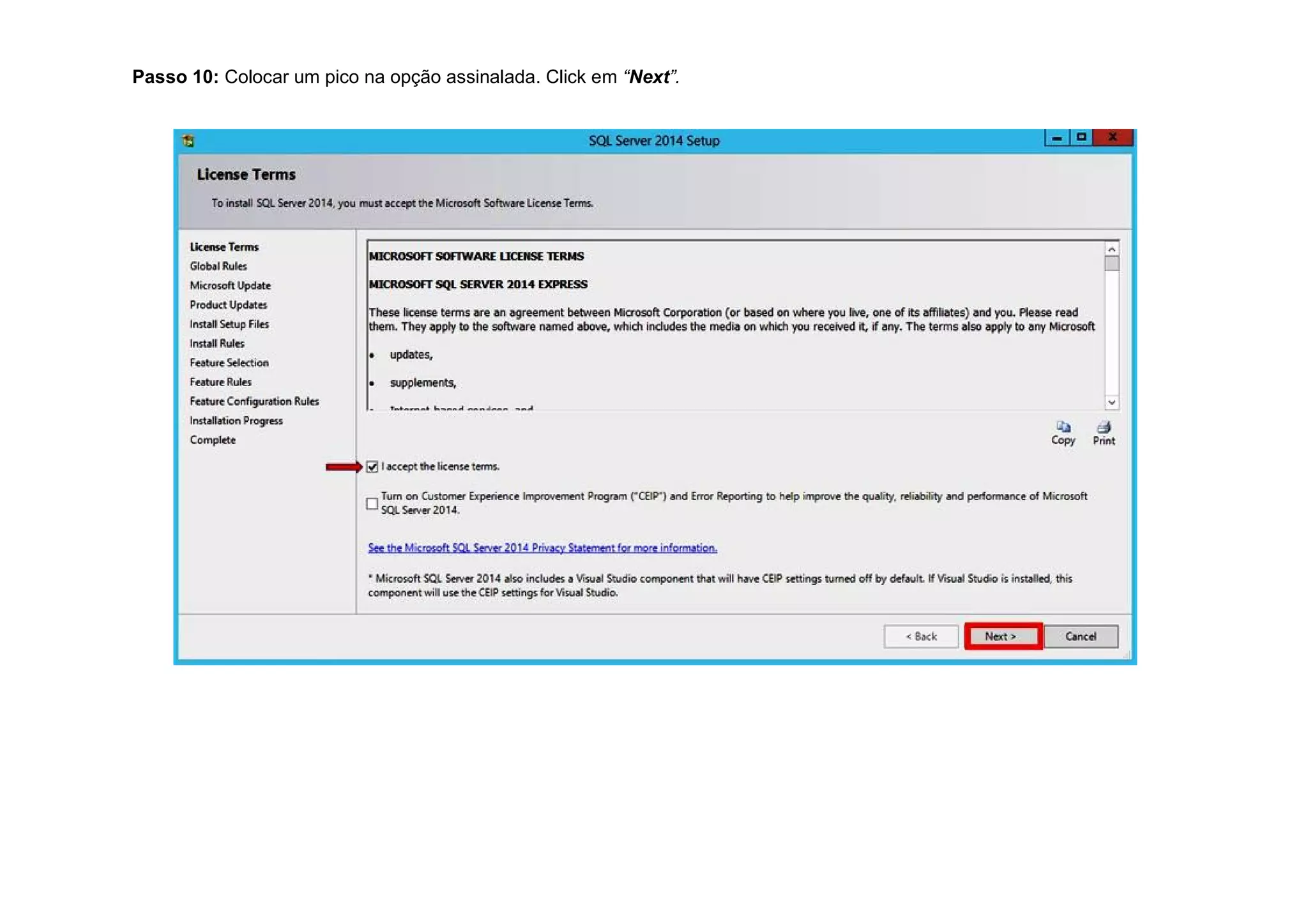 Passo 10: Colocar um pico na opção assinalada. Click em “Next”.
 