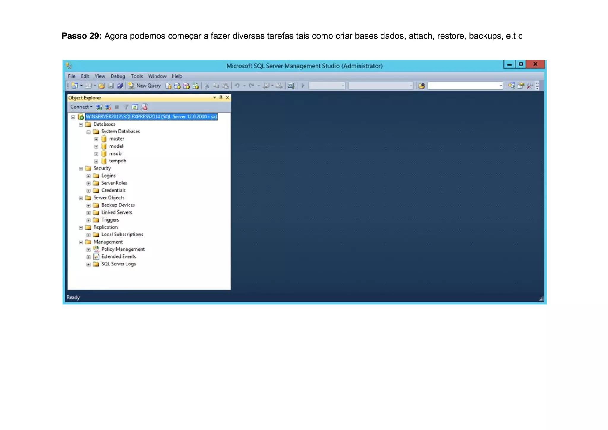 Passo 29: Agora podemos começar a fazer diversas tarefas tais como criar bases dados, attach, restore, backups, e.t.c
 