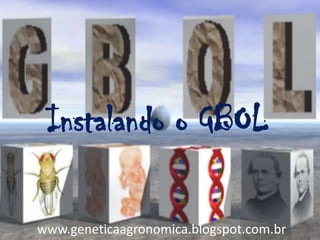 Instalando o GBOL
www.geneticaagronomica.blogspot.com.br
 