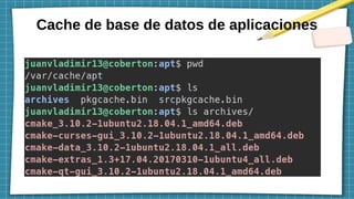 Cache de base de datos de aplicaciones
 