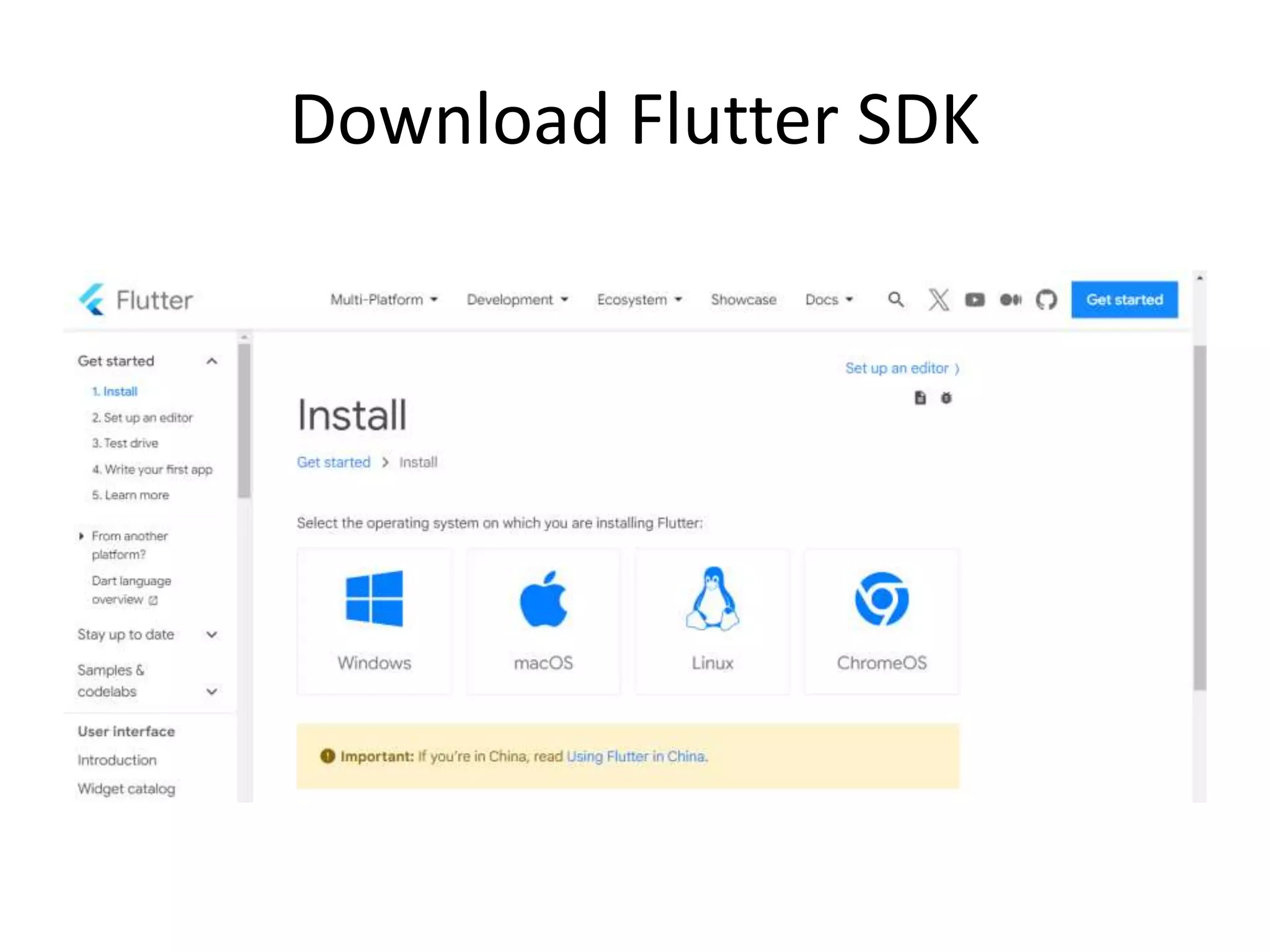 Download Flutter SDK
 