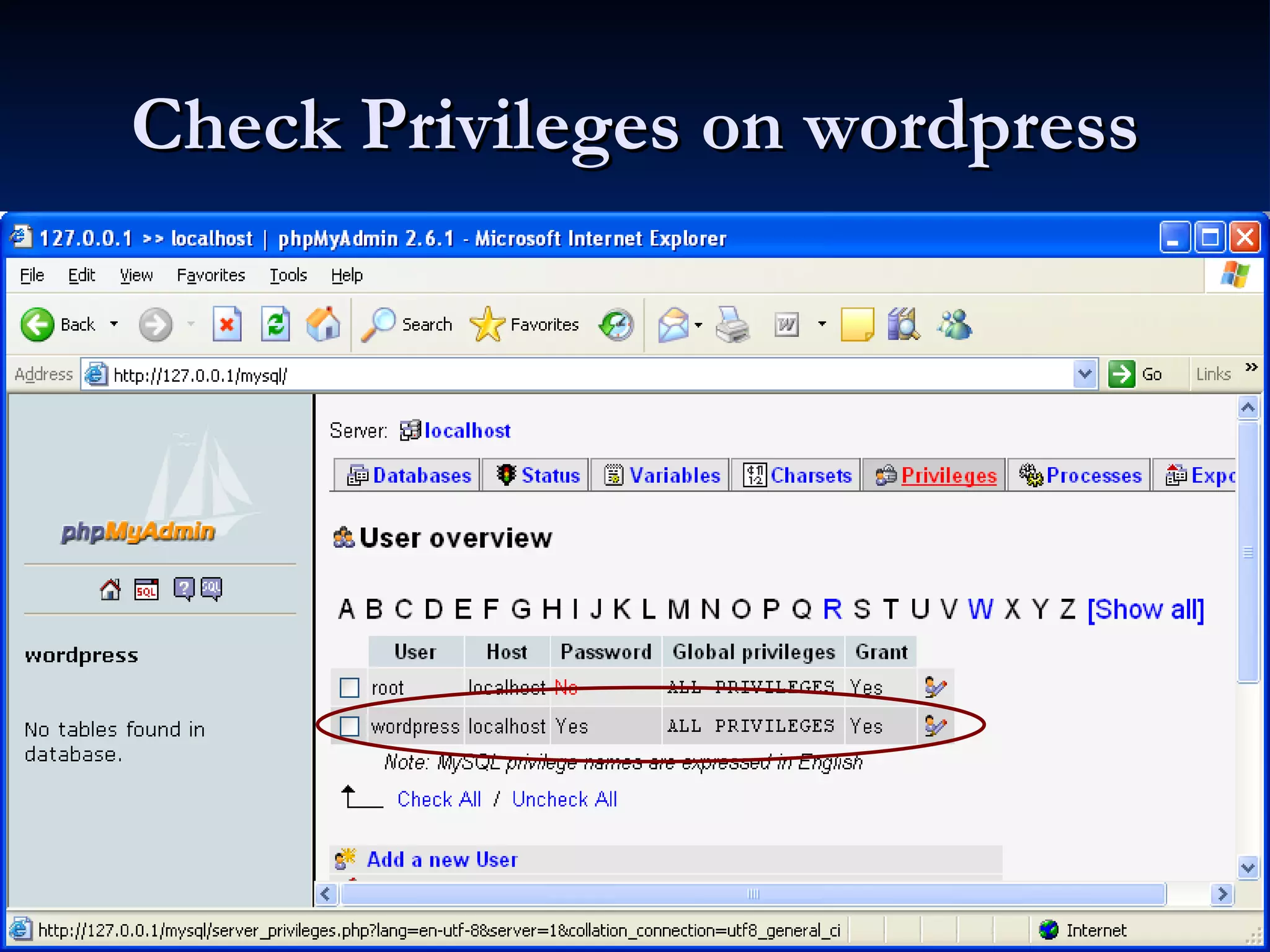 Check Privileges on wordpress 