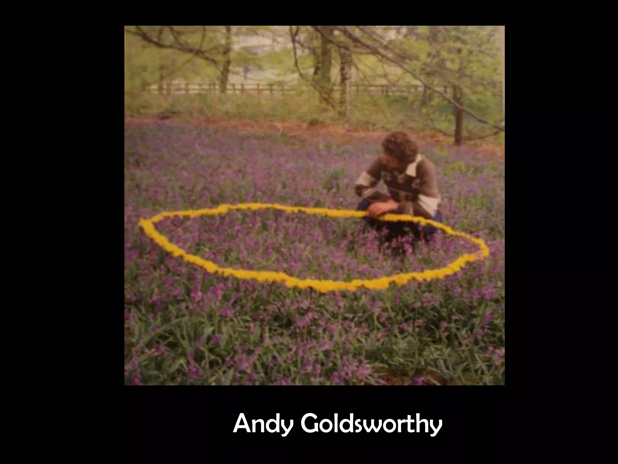 Andy Goldsworthy
 
