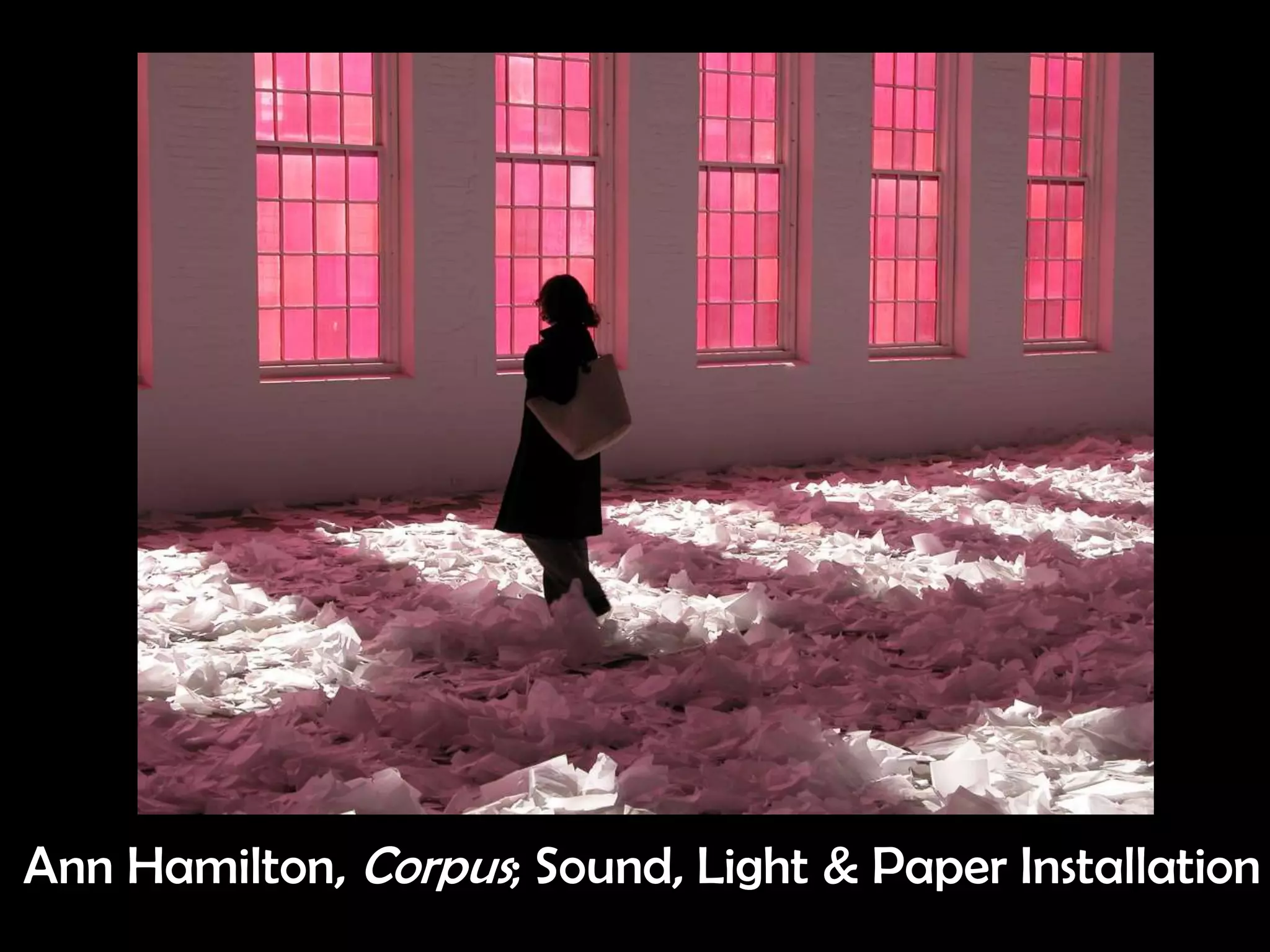 Ann Hamilton, Corpus; Sound, Light & Paper Installation
 