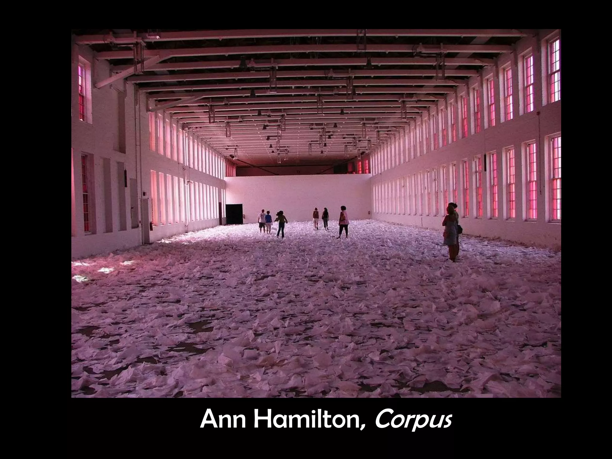 Ann Hamilton, Corpus
 