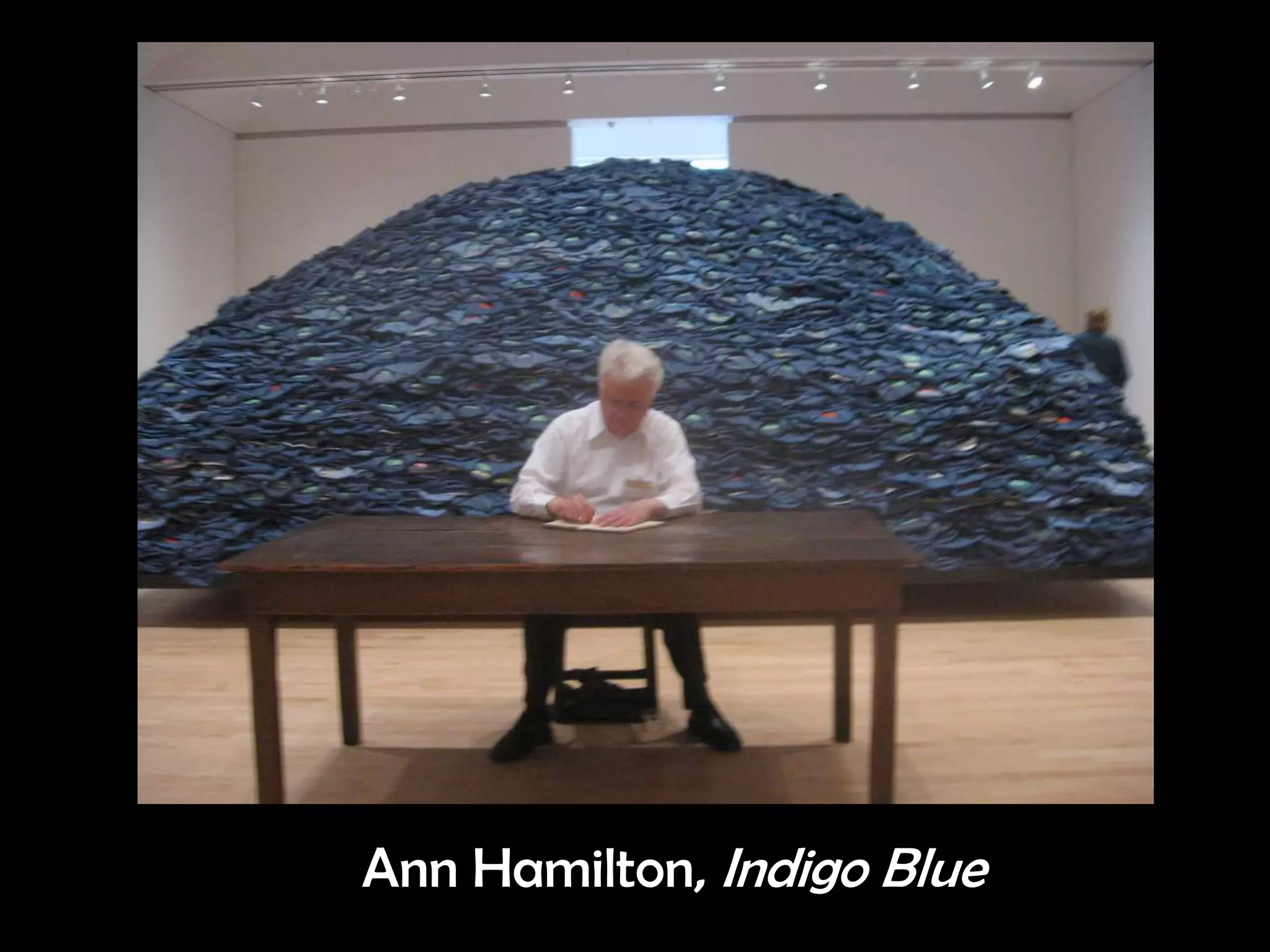 Ann Hamilton, Indigo Blue
 
