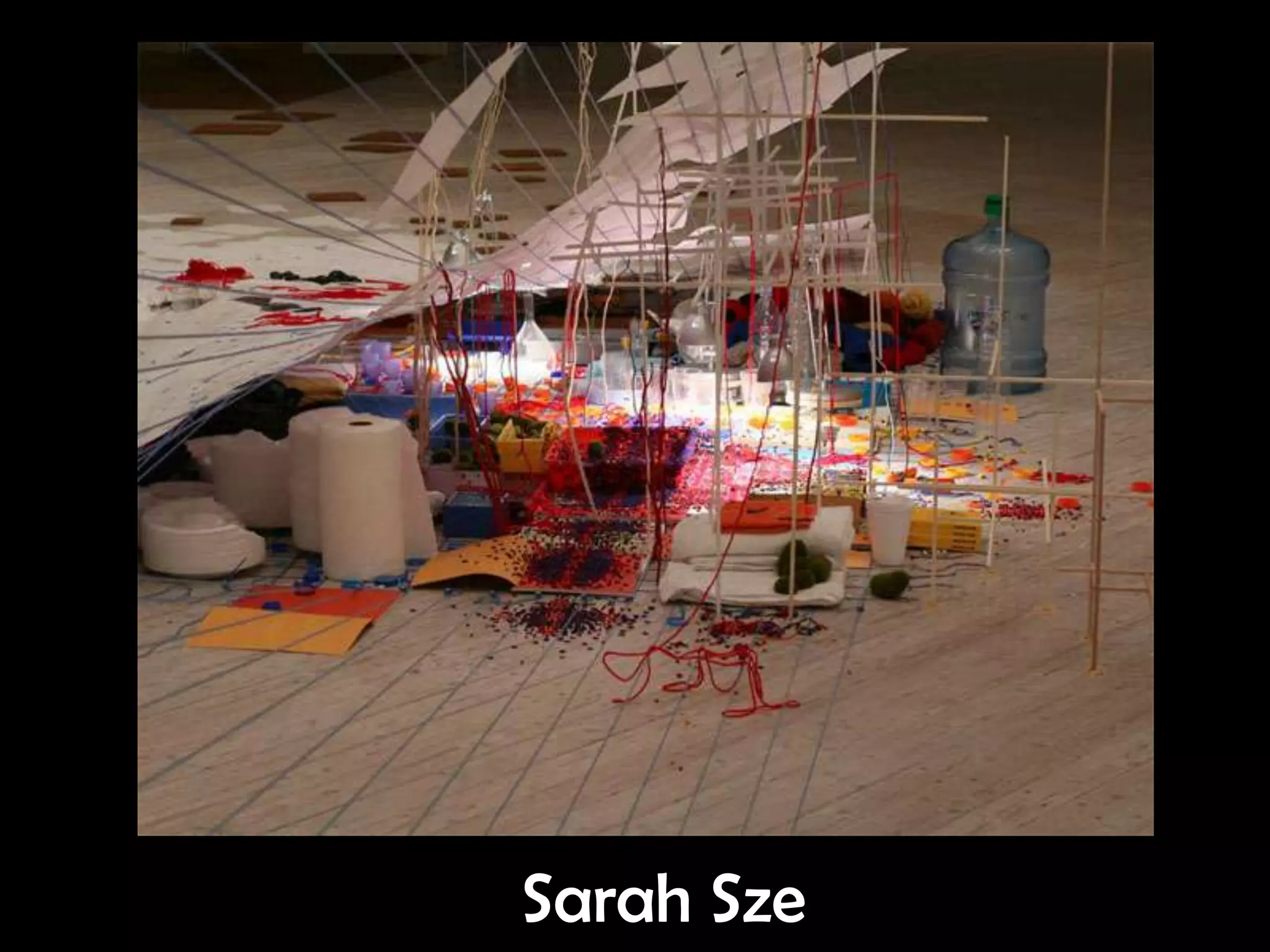 Sarah Sze
 
