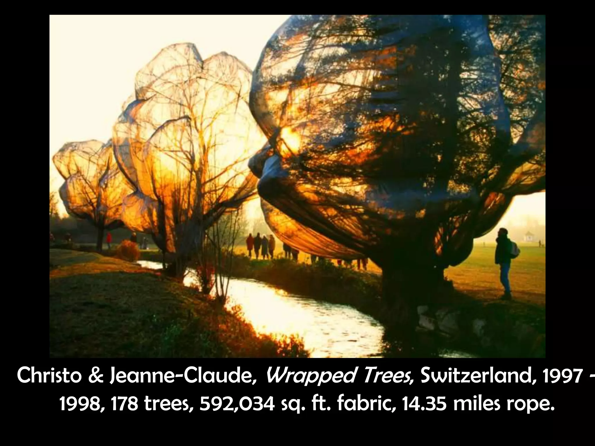 Christo & Jeanne-Claude, Wrapped Trees, Switzerland, 1997 -
1998, 178 trees, 592,034 sq. ft. fabric, 14.35 miles rope.
 