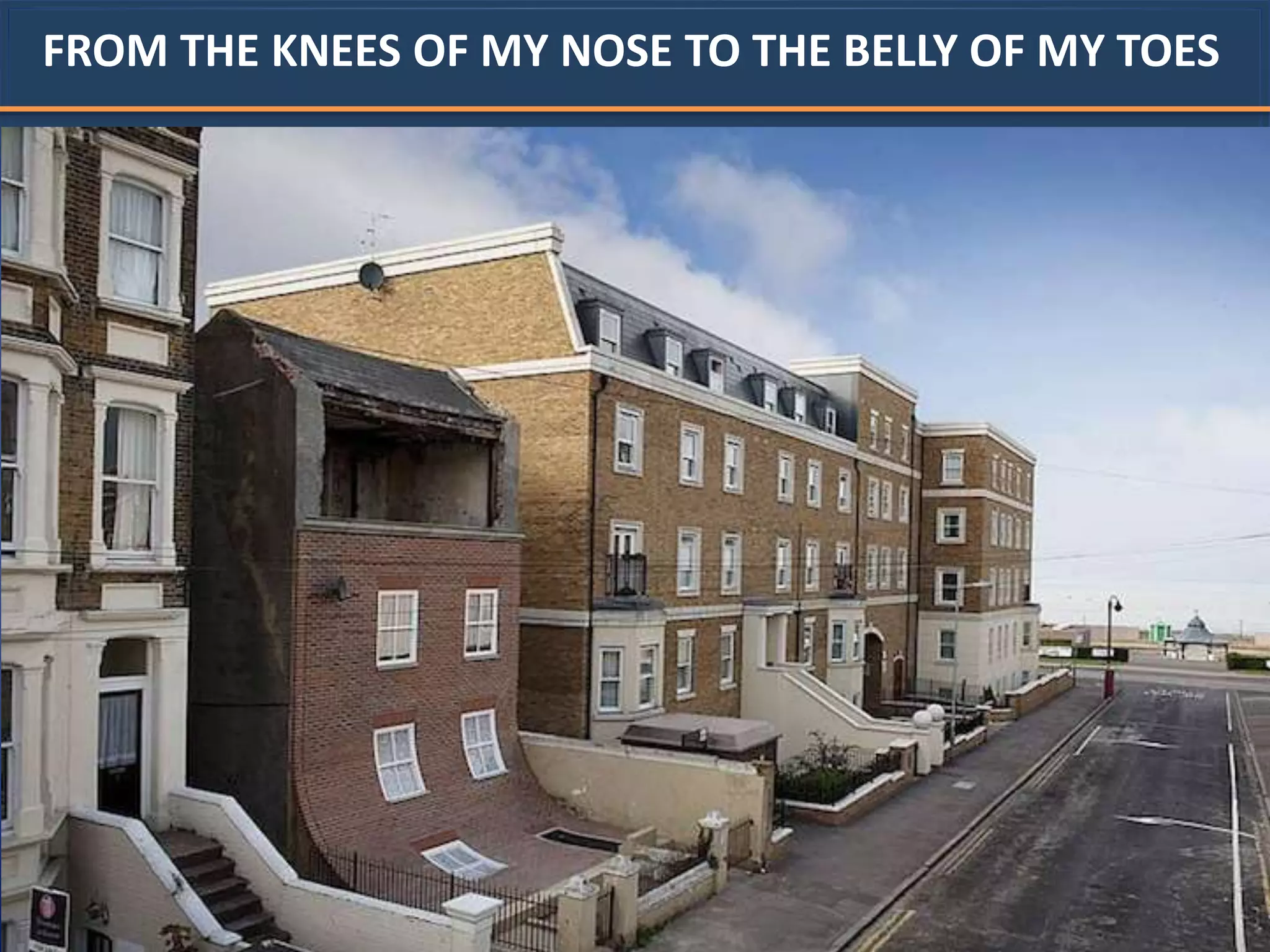 FROM THE KNEES OF MY NOSE TO THE BELLY OF MY TOES
 