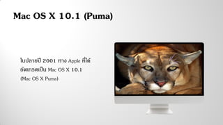 Mac OS X 10.1 (Puma)
ในปลายปี 2001 ทาง Apple ที่ได้
อัพเกรดเป็น Mac OS X 10.1
(Mac OS X Puma)
 
