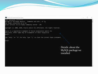 .
Details about the
MySQL package we
installed
 